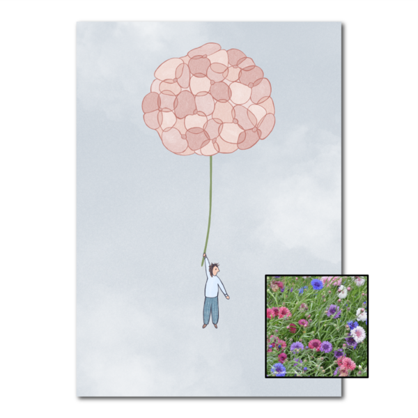 Hortensia | Bloemenzaad