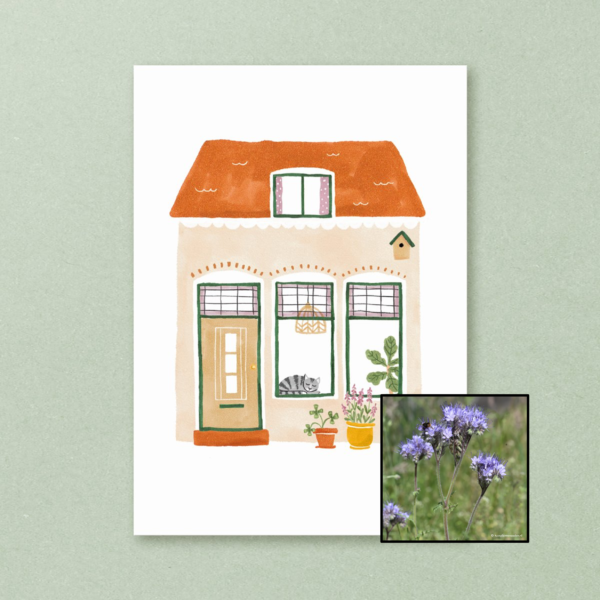 Huisje | Bloemenzaad