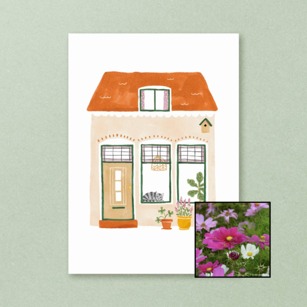 Huisje | Bloemenzaad