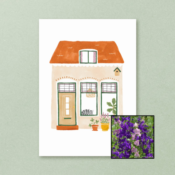 Huisje | Bloemenzaad