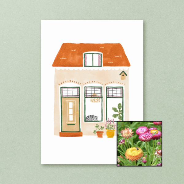 Huisje | Bloemenzaad