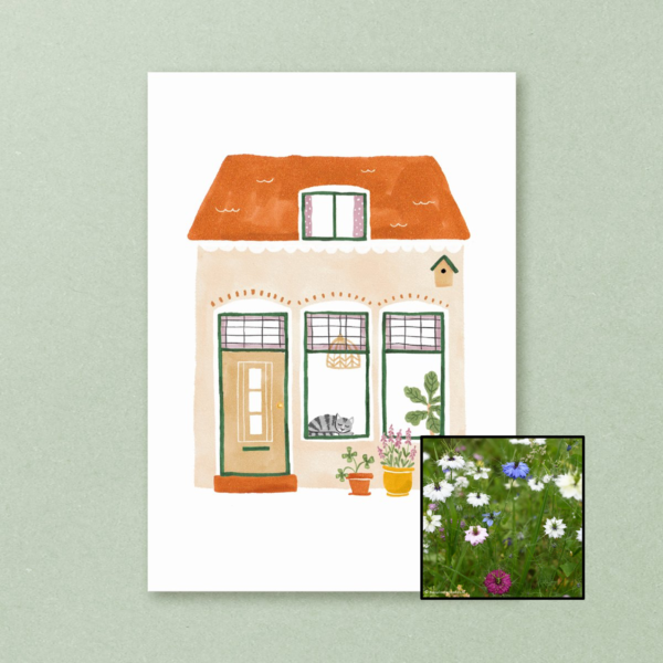 Huisje | Bloemenzaad