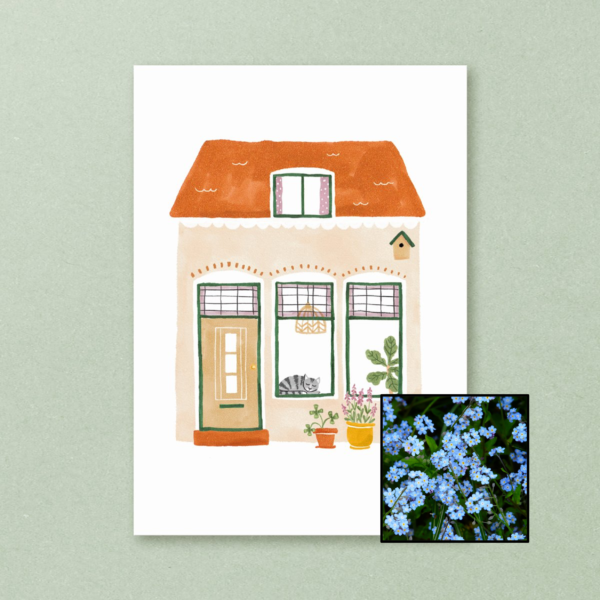 Huisje | Bloemenzaad