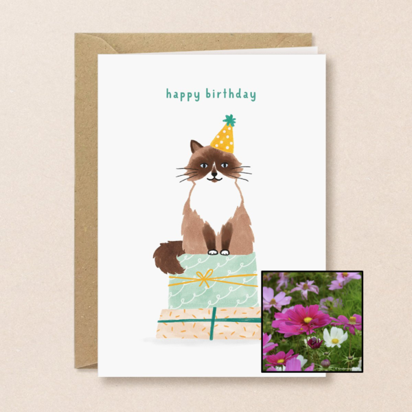 Verjaardagskat | Bloemenzaad