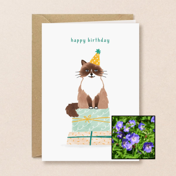 Verjaardagskat | Bloemenzaad
