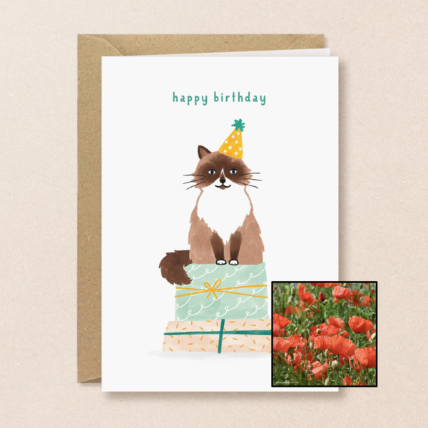 Verjaardagskat | Bloemenzaad