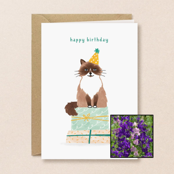 Verjaardagskat | Bloemenzaad