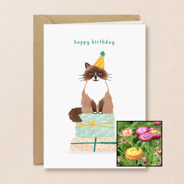 Verjaardagskat | Bloemenzaad
