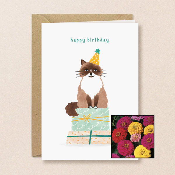Verjaardagskat | Bloemenzaad