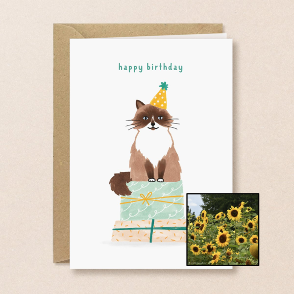 Verjaardagskat | Bloemenzaad