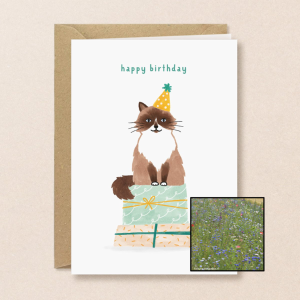 Verjaardagskat | Bloemenzaad