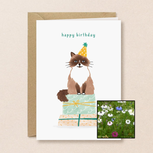 Verjaardagskat | Bloemenzaad