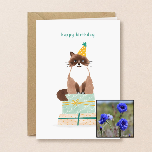 Verjaardagskat | Bloemenzaad