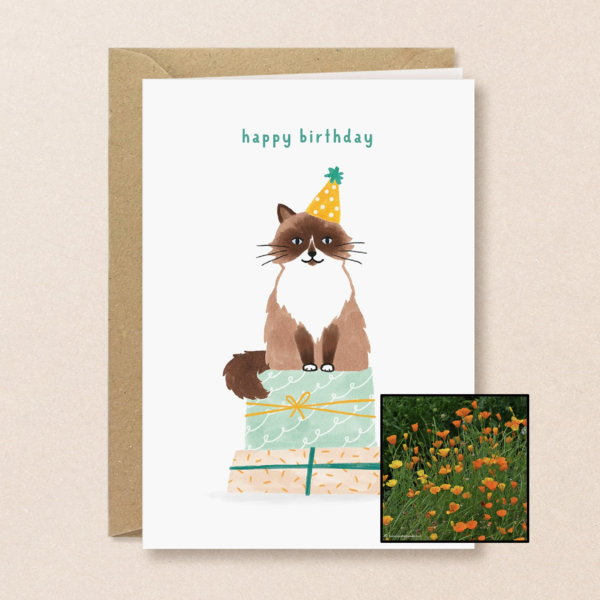 Verjaardagskat | Bloemenzaad