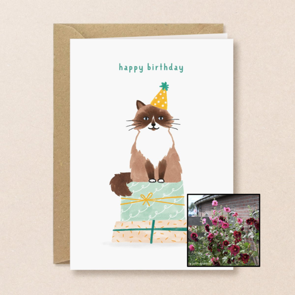 Verjaardagskat | Bloemenzaad