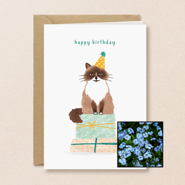 Verjaardagskat | Bloemenzaad