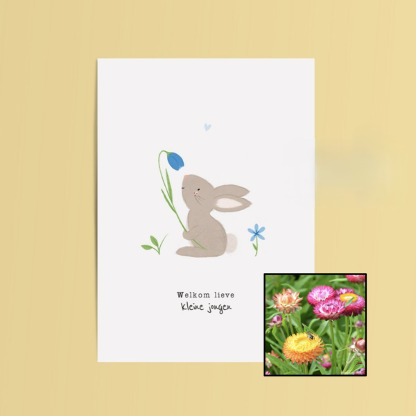 Welkom Jongen | Bloemenzaad