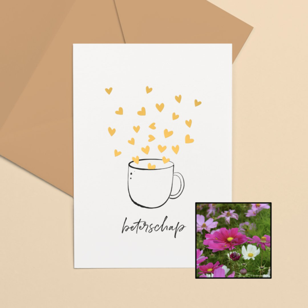 Kopje Beterschap | Bloemenzaad