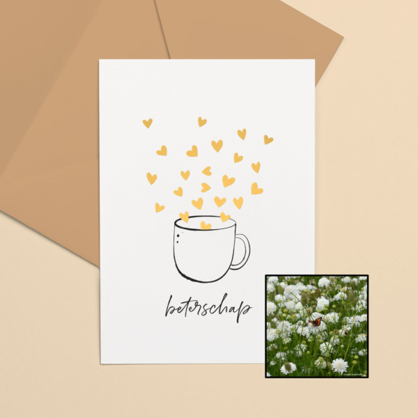 Kopje Beterschap | Bloemenzaad