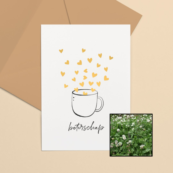 Kopje Beterschap | Bloemenzaad