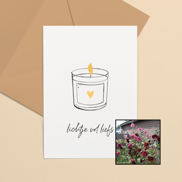 Lichtje vol liefs | Bloemenzaad