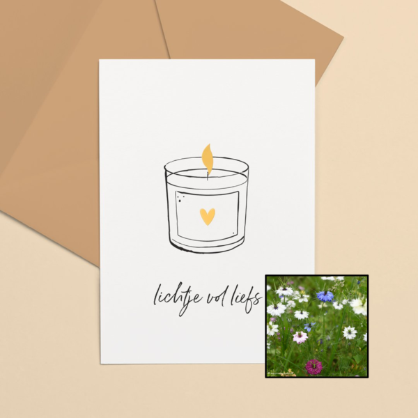 Lichtje vol liefs | Bloemenzaad