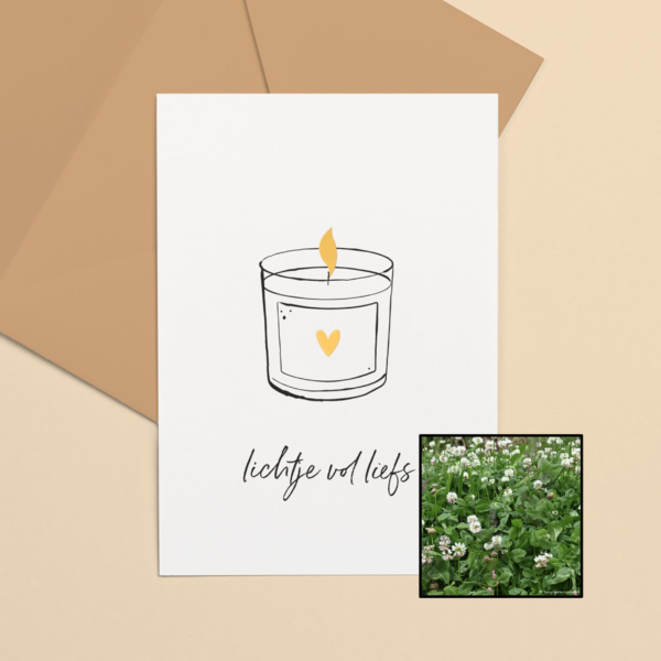 Lichtje vol liefs | Bloemenzaad