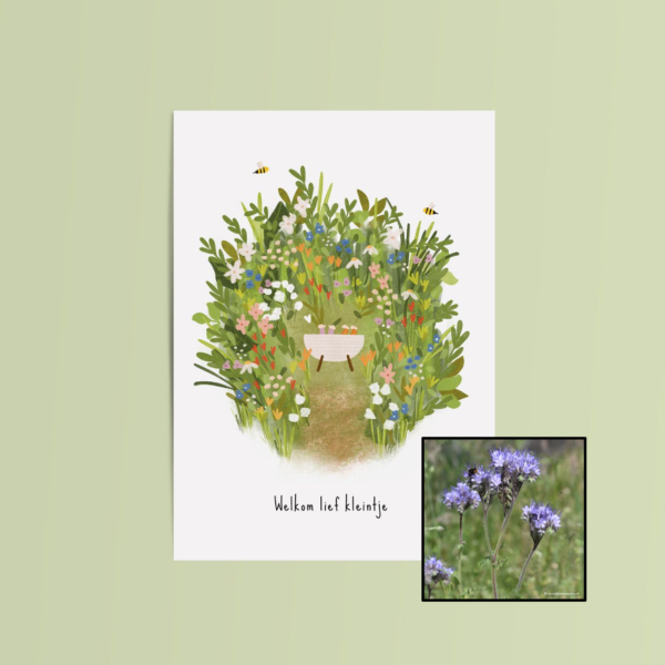 Welkom Lief Kleintje | Bloemenzaad