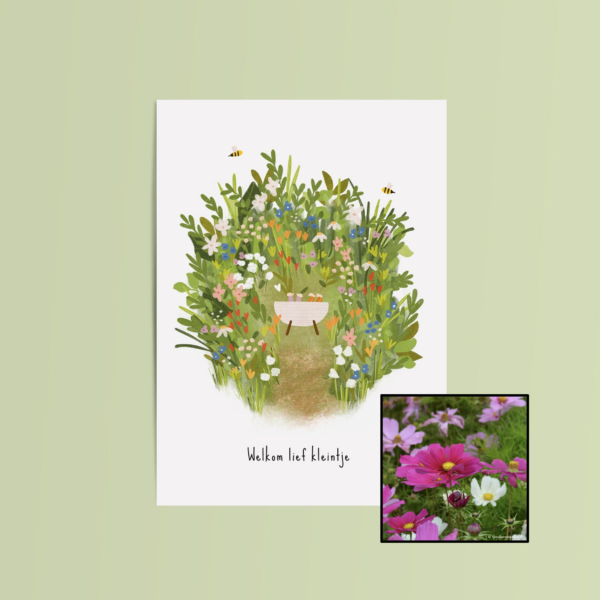 Welkom Lief Kleintje | Bloemenzaad