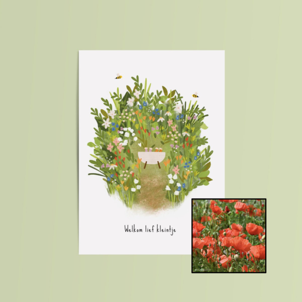 Welkom Lief Kleintje | Bloemenzaad