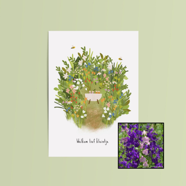 Welkom Lief Kleintje | Bloemenzaad