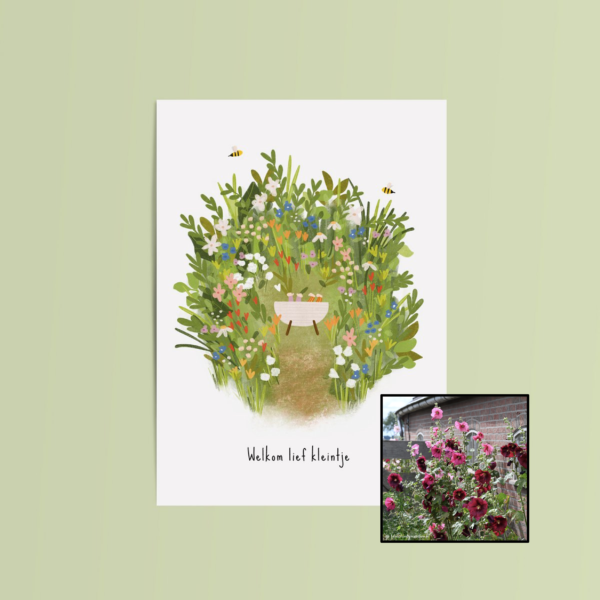 Welkom Lief Kleintje | Bloemenzaad