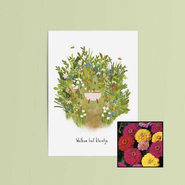 Welkom Lief Kleintje | Bloemenzaad