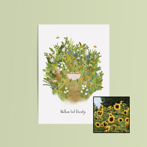 Welkom Lief Kleintje | Bloemenzaad
