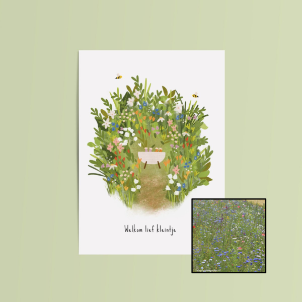 Welkom Lief Kleintje | Bloemenzaad