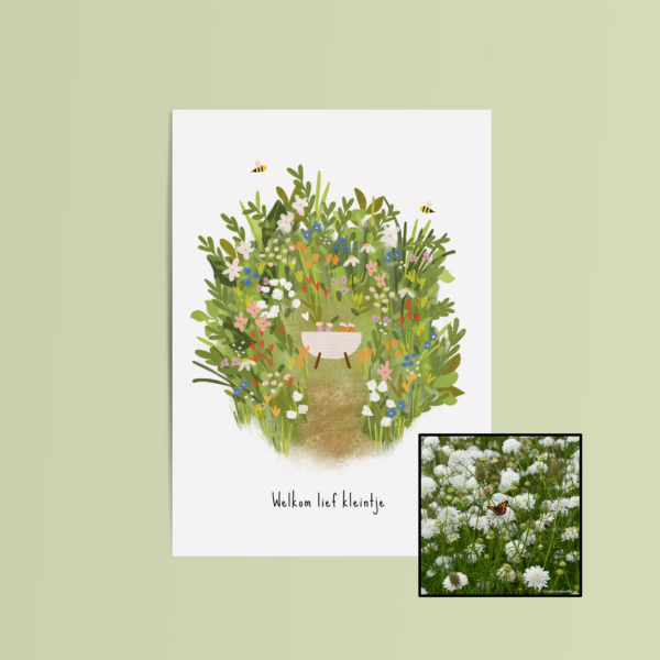 Welkom Lief Kleintje | Bloemenzaad