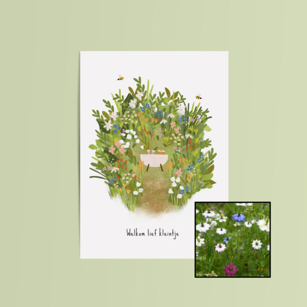 Welkom Lief Kleintje | Bloemenzaad