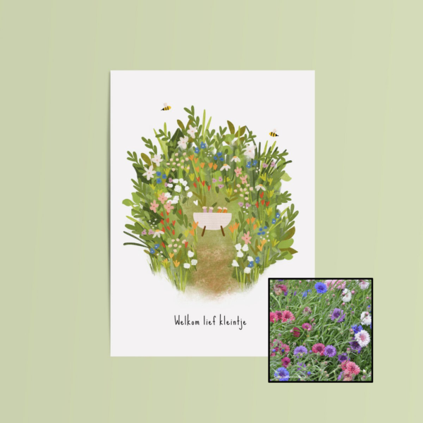 Welkom Lief Kleintje | Bloemenzaad