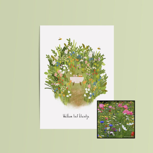 Welkom Lief Kleintje | Bloemenzaad