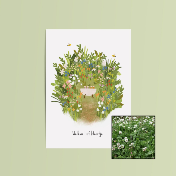 Welkom Lief Kleintje | Bloemenzaad