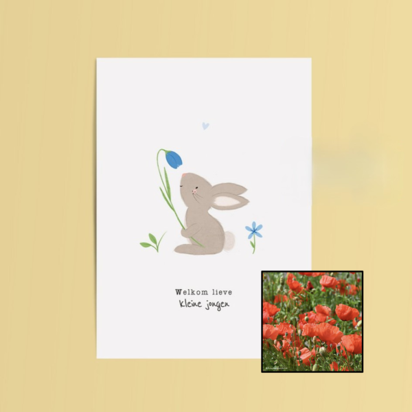 Welkom Jongen | Bloemenzaad