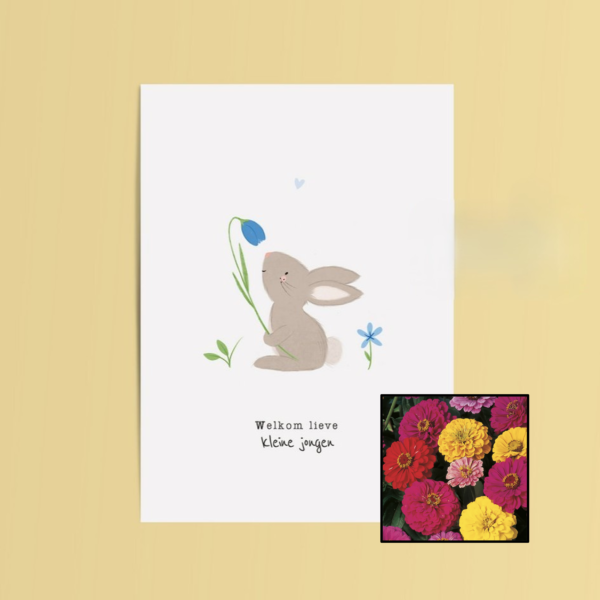 Welkom Jongen | Bloemenzaad