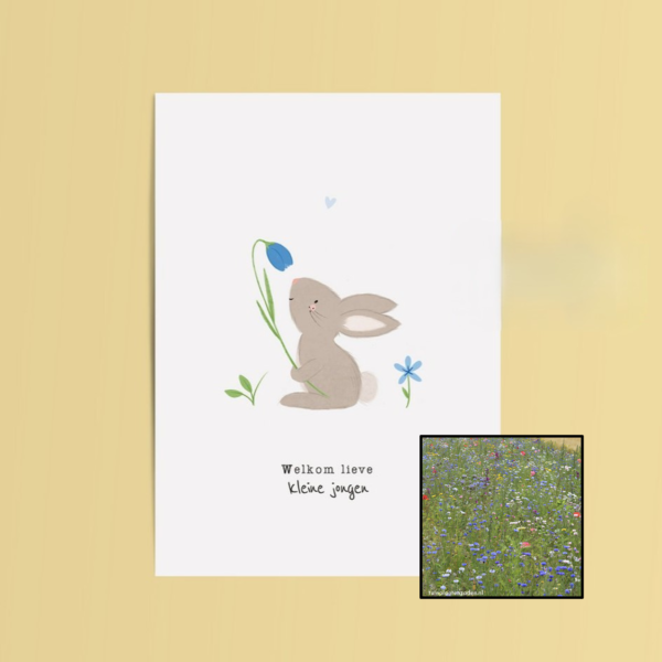 Welkom Jongen | Bloemenzaad