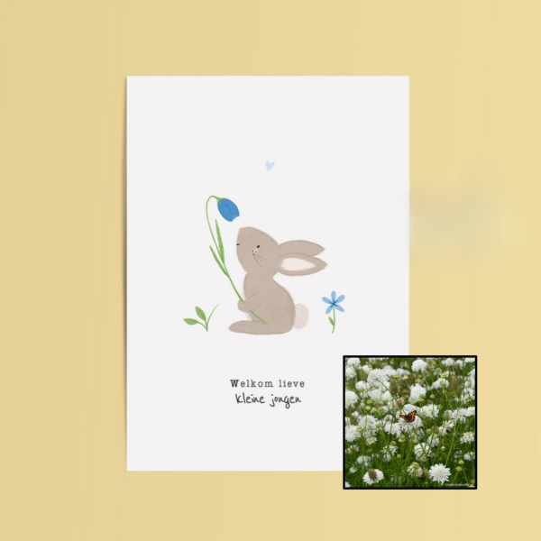 Welkom Jongen | Bloemenzaad