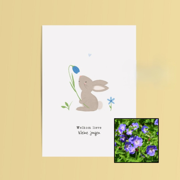 Welkom Jongen | Bloemenzaad