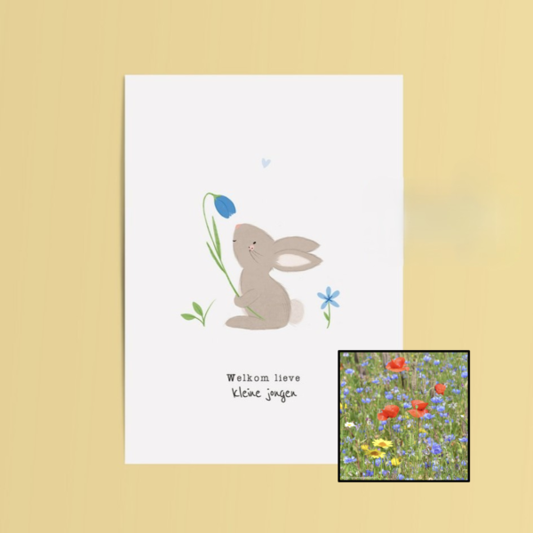 Welkom Jongen | Bloemenzaad