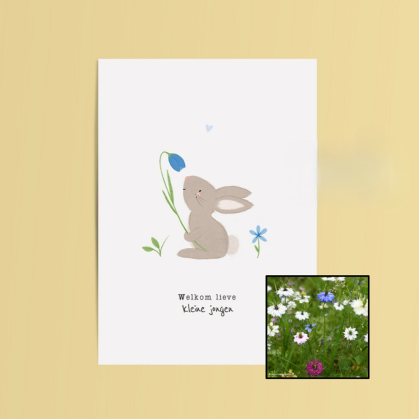 Welkom Jongen | Bloemenzaad