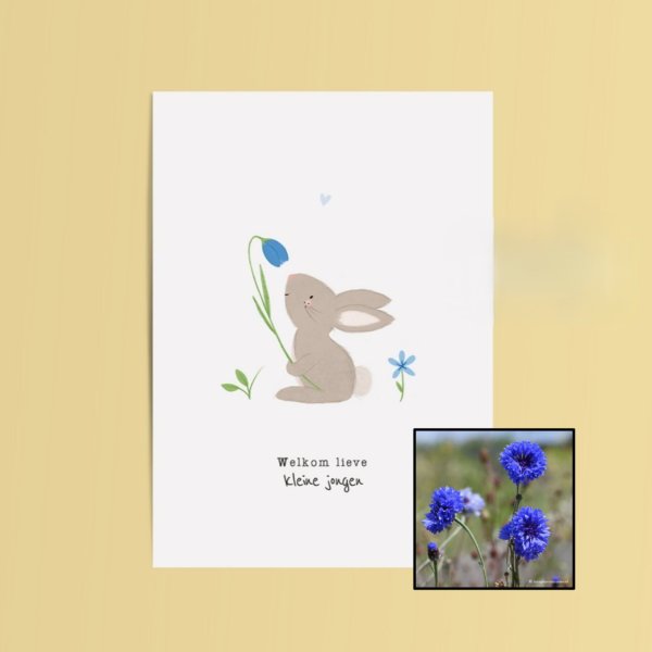 Welkom Jongen | Bloemenzaad