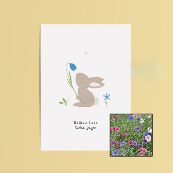 Welkom Jongen | Bloemenzaad