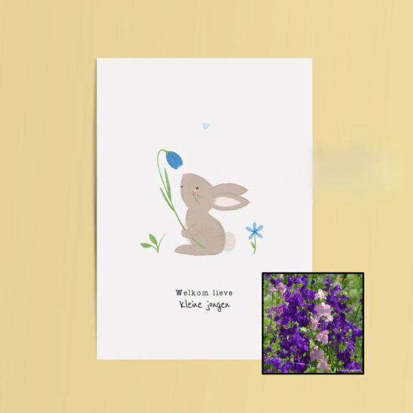 Welkom Jongen | Bloemenzaad